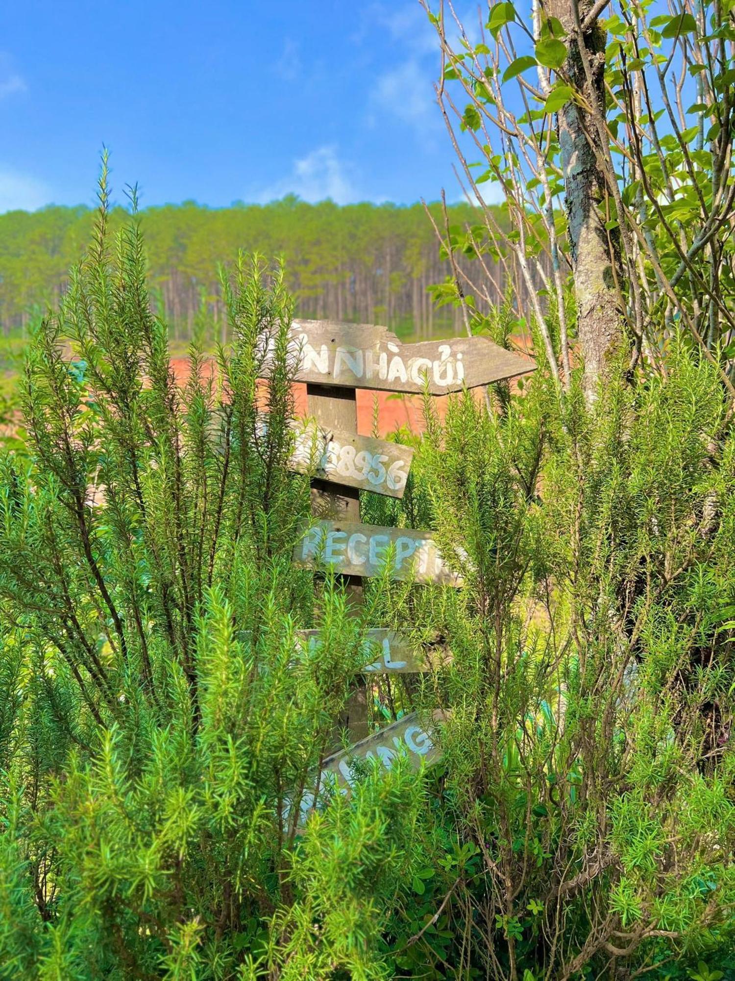 Vuon Nha Cui Homestay Da Lat Exterior foto