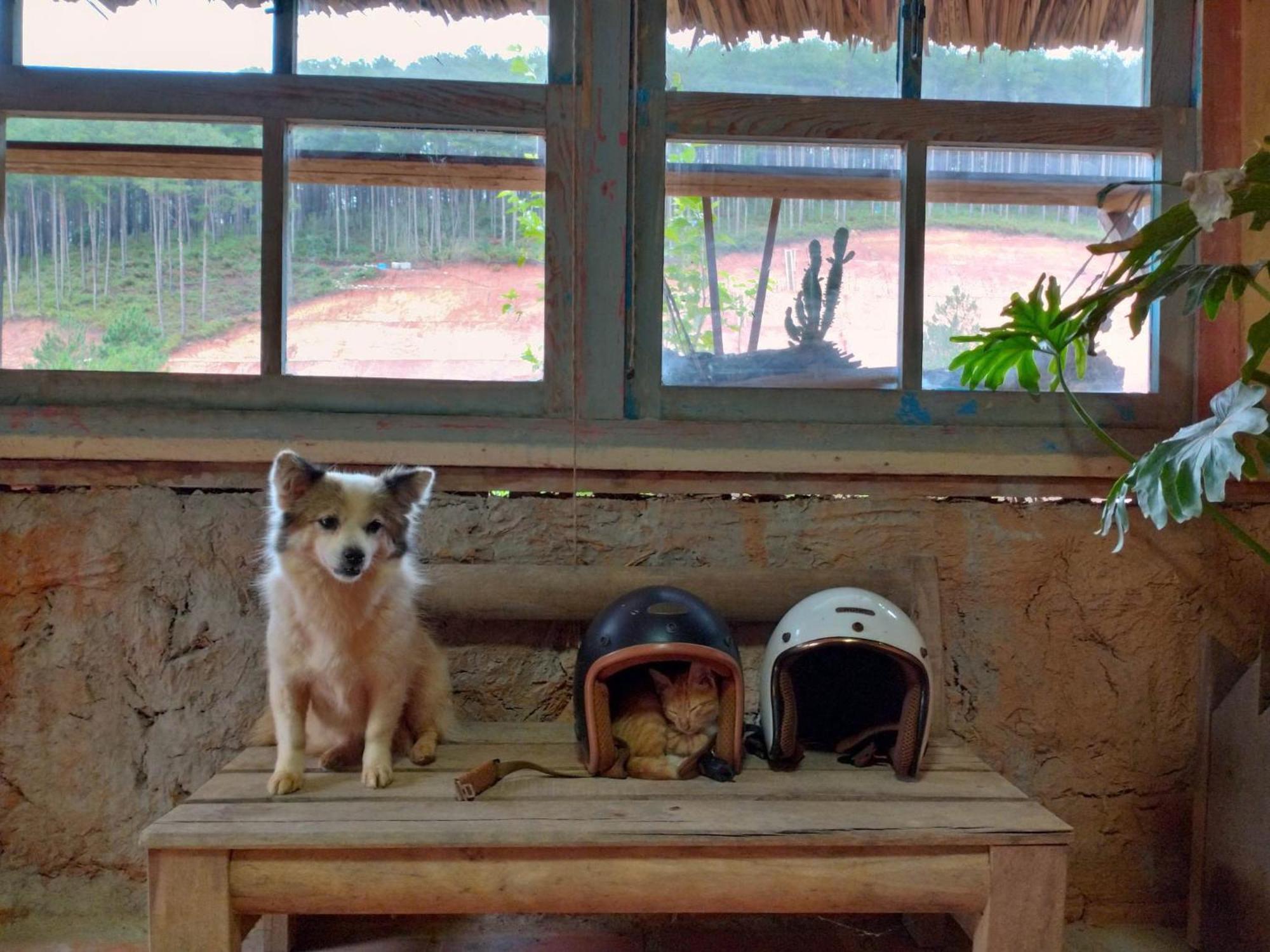 Vuon Nha Cui Homestay Da Lat Exterior foto