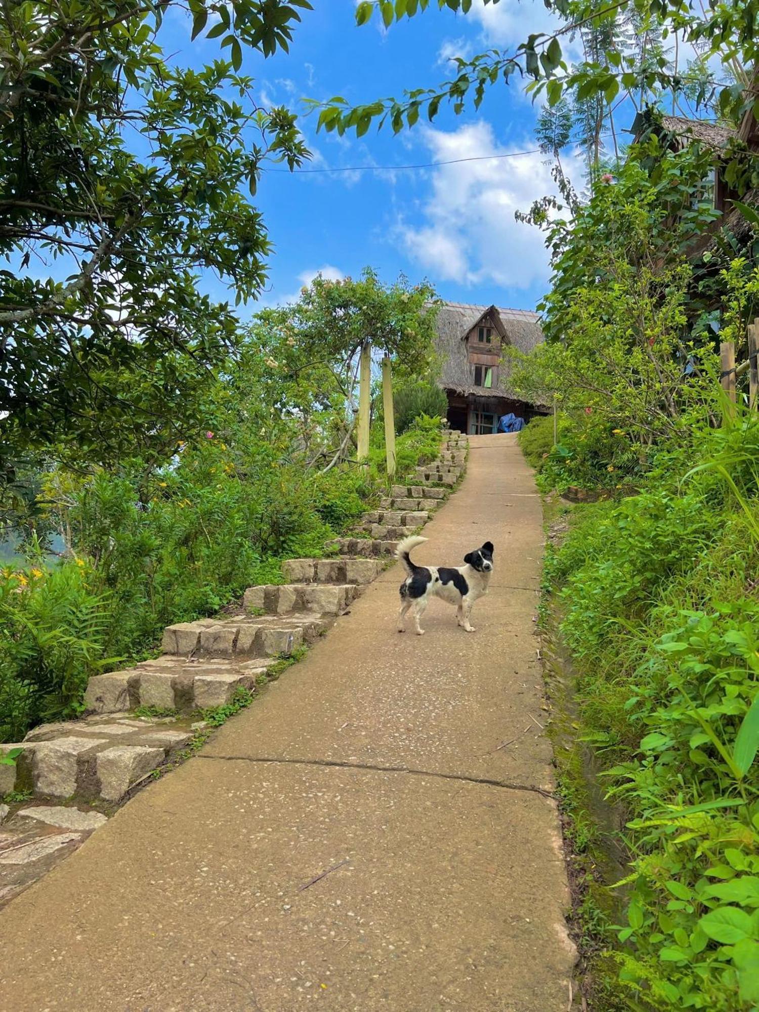 Vuon Nha Cui Homestay Da Lat Exterior foto
